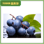 Blueberry Powder - Vaccinium corymbosum Fruit Powder - esubio