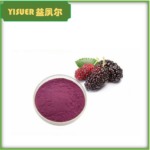 Mulberry Extract Powder - Morus alba Fruit Extract - esubio