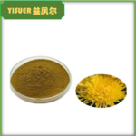 Chrysanthemum Extract Powder - Chrysanthemum morifolium Flower Extract - esubio