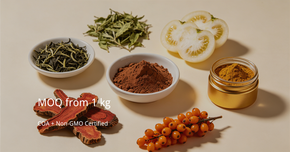 Botanical extract supplier showcase — ashwagandha root, green tea leaves, white tomato, and rhodiola rosea standardized plant actives from Esubio