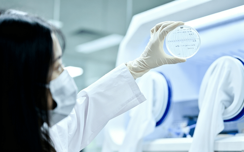 Probiotic ingredient market trends 2026 — next-generation Akkermansia AKK strain, postbiotic complexes, and gut-brain axis supplement formulations