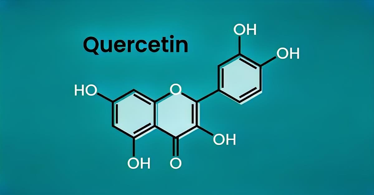 Quercetin antioxidant and anti-inflammatory properties in cellular research